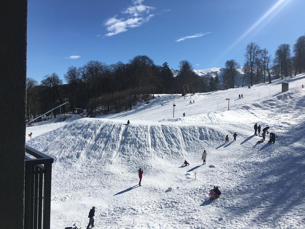Bakuriani Area Park 아파트 외부 사진